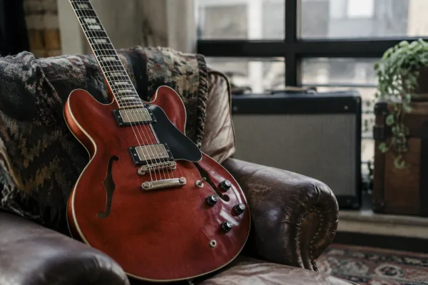 The Complete Guide to Es 335 Guitar