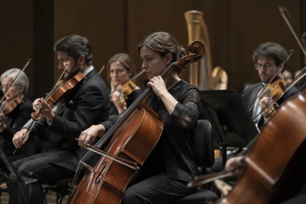 The Complete Guide to Orchestral String Instruments
