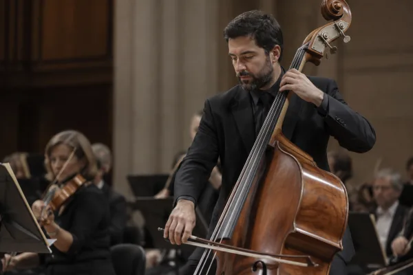 The Complete Guide to Double Upright Bass