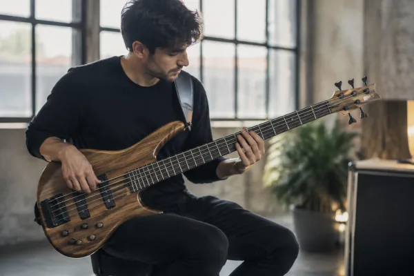 The Complete Guide to Ibanez Electric Bass