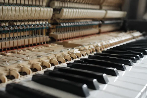 The Complete Guide to Weighted Keyboard