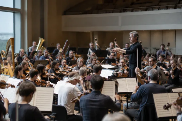 The Complete Guide to Orchestral Instrument