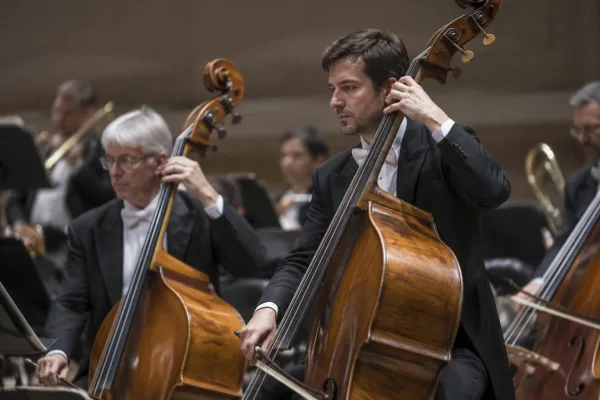 The Complete Guide to Stand Up Bass Instrument