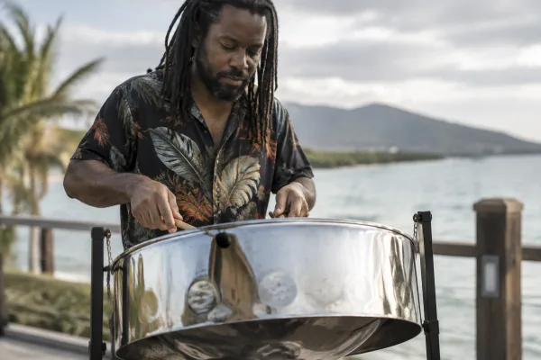 The Complete Guide to Steel Pan Instrument