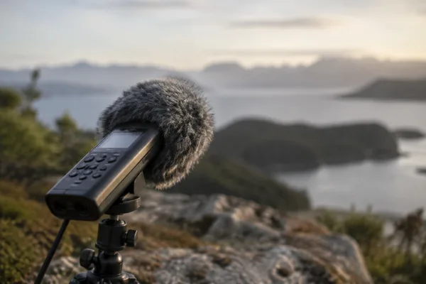 The Complete Guide to Audio Recorder Digital