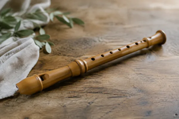 The Complete Guide to Recorder Players For Sale