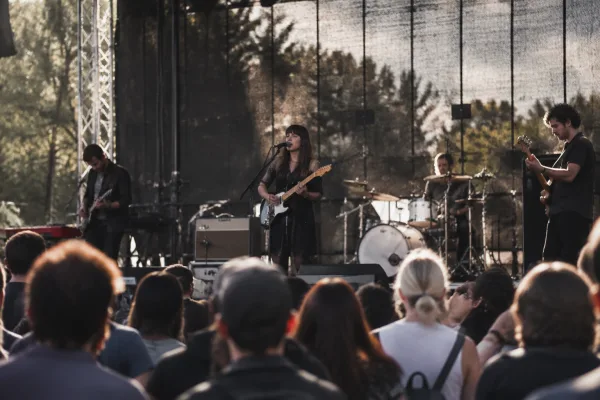The Complete Guide to Music Industry Economics