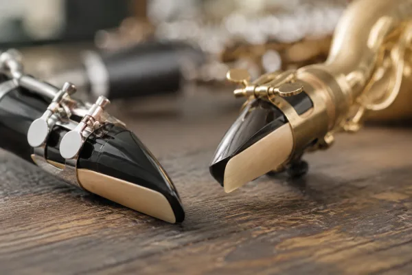 The Complete Guide to Reed Mouthpiece