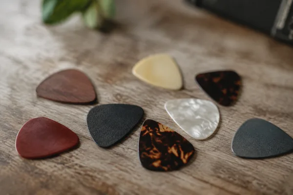 The Complete Guide to Electric Bass Pick