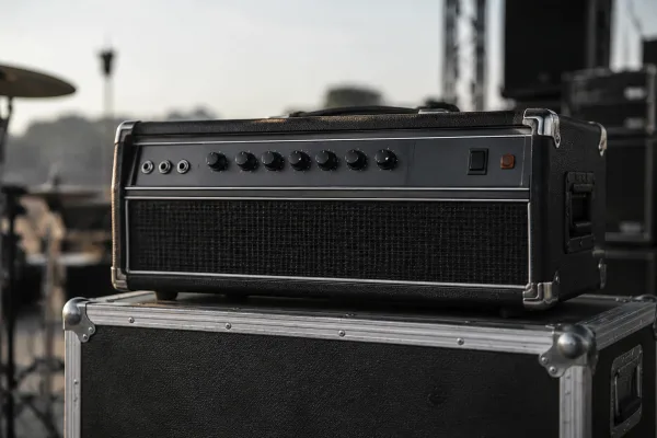 The Complete Guide to Bass Head Ampeg