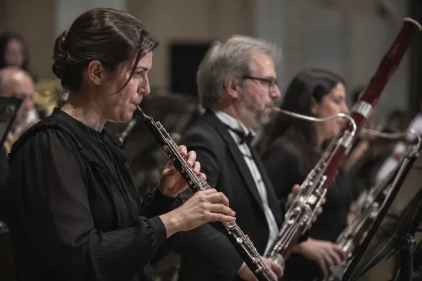 The Complete Guide to Instrument Double Reed