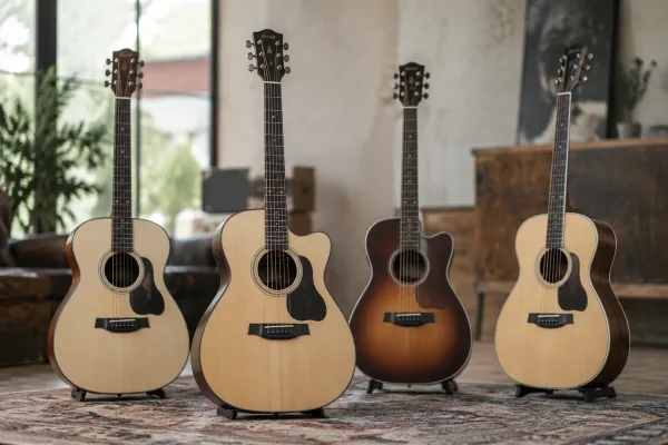 Taylor Acoustic Guitar: A Complete Buyer's Guide