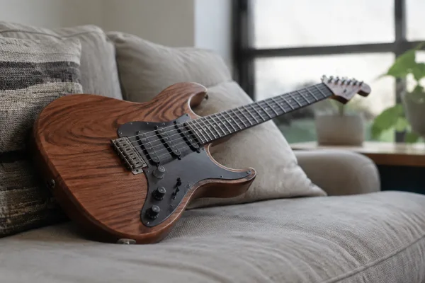 Double Cut Guitar for Beginners: A Complete Guide