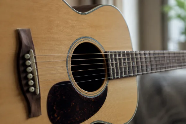 Seagull Electric Guitar for Beginners: A Complete Guide