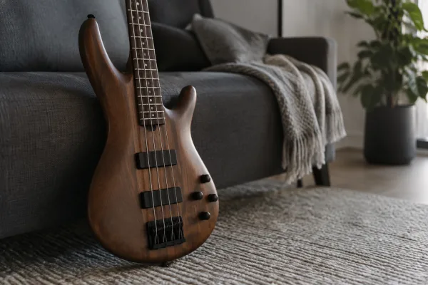 Ibanez Bass Guitar: A Complete Buyer's Guide
