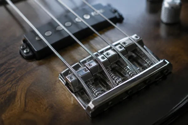 Bass Bridge: A Complete Buyer's Guide