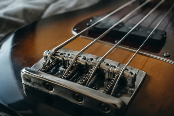 Bass Bridge for Beginners: A Complete Guide