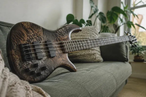 Spector Bass Guitar: A Complete Buyer's Guide