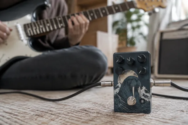Walrus Audio Pedal for Beginners: A Complete Guide
