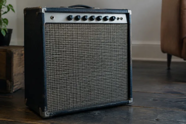 Ampeg Guitar Amp: A Complete Buyer's Guide