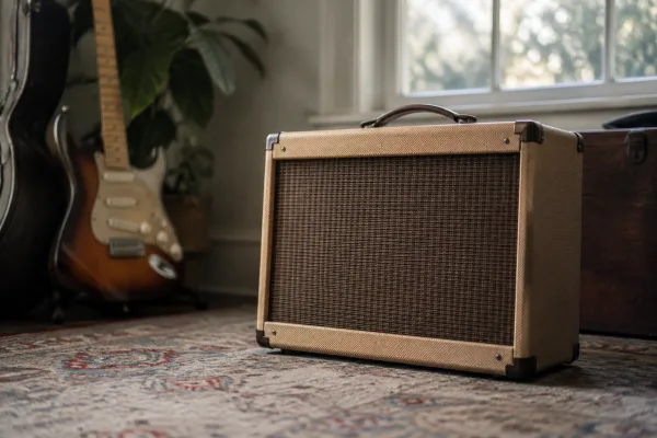 Clean Amp: A Complete Buyer's Guide
