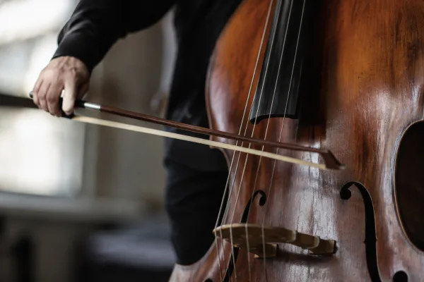 Double Bass Bow: A Complete Buyer's Guide
