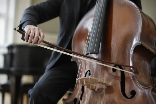 Double Bass Bow for Beginners: A Complete Guide