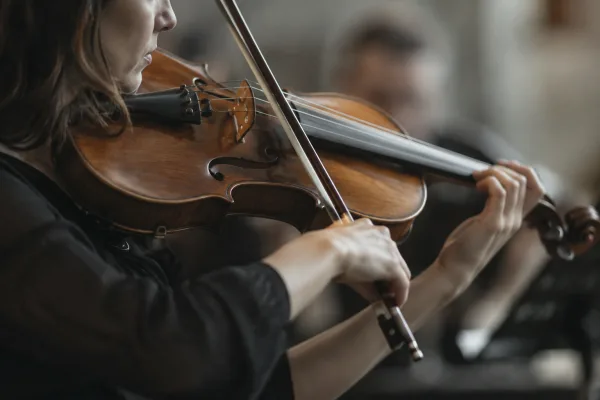Viola Bow for Beginners: A Complete Guide
