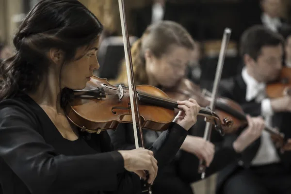 Eastman Violin: A Complete Buyer's Guide