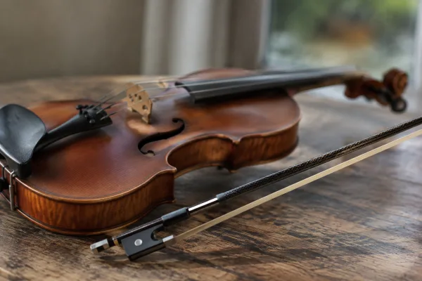 Carbon Fibre Bow: A Complete Buyer's Guide