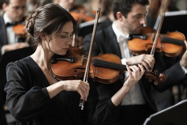 Gewa Violin: A Complete Buyer's Guide