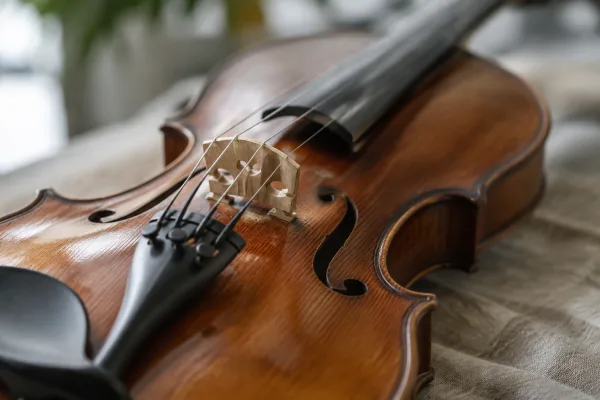 4/4 Violin: A Complete Buyer's Guide