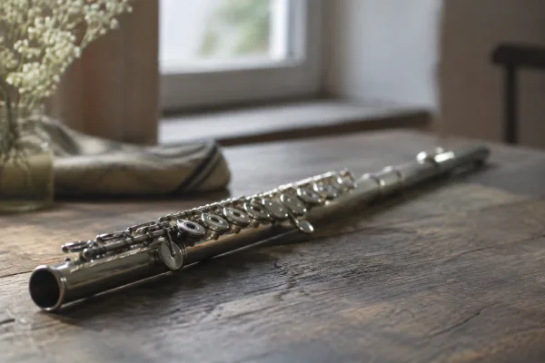 Flute Case: A Complete Buyer's Guide