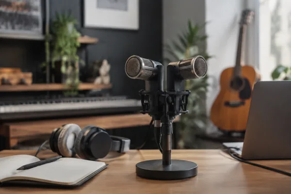 Stereo Microphone for Beginners: A Complete Guide