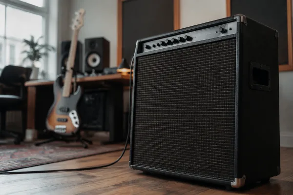 Bass Amp Sim: A Complete Buyer's Guide
