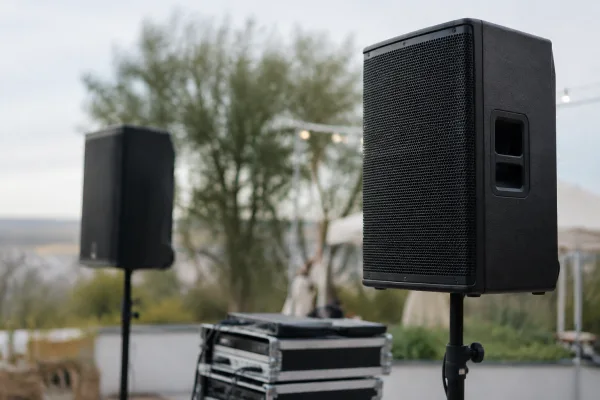 Ld Systems Pa Speaker: A Complete Buyer's Guide
