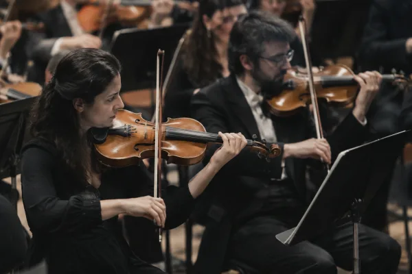 Orchestral Music Stand: A Complete Buyer's Guide