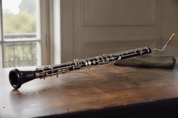 Horn Cor Anglais: A Complete Buyer's Guide