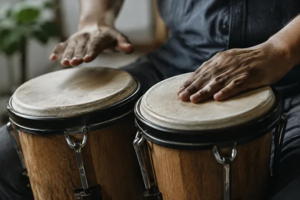 Bongo Drum Instrument for Beginners: A Complete Guide