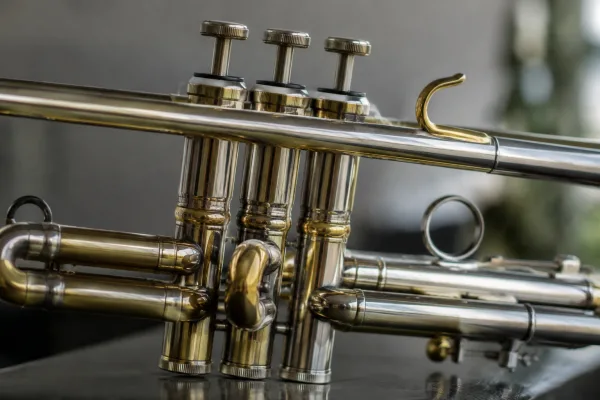 Trumpet Slide: A Complete Buyer's Guide