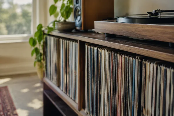 Tool Vinyl Records: A Complete Buyer's Guide