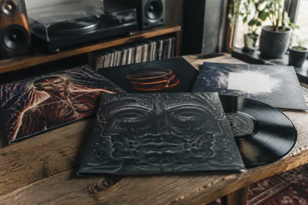 Tool Band Vinyl: A Complete Buyer's Guide