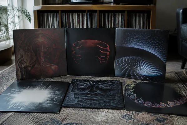 Tool Band Vinyl for Beginners: A Complete Guide