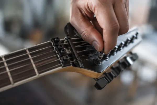 Lock Nut Guitar: A Complete Buyer's Guide
