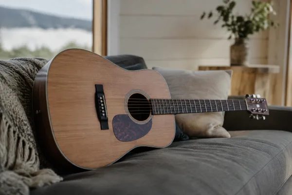Northern Guitars: A Complete Buyer's Guide