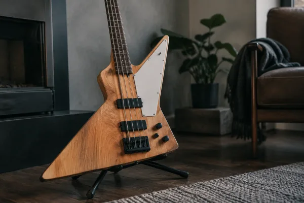 Explorer Bass Guitar: A Complete Buyer's Guide