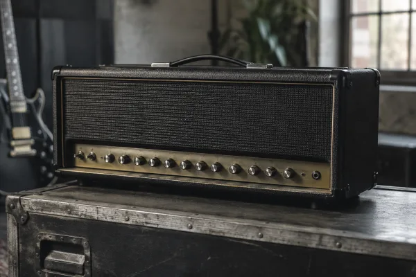 Laney for Beginners: A Complete Guide