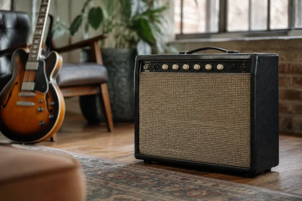 Classic 30 Peavey: A Complete Buyer's Guide