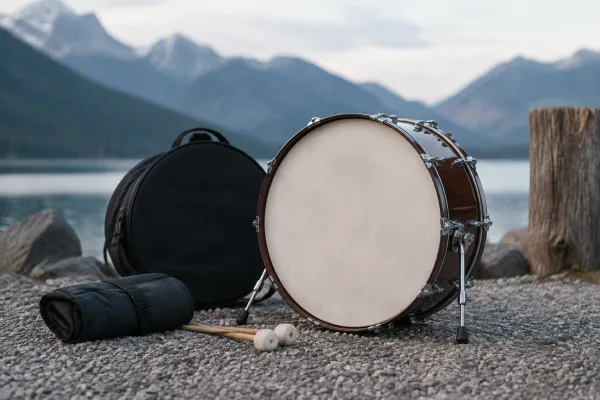 Travel Bass: A Complete Buyer's Guide