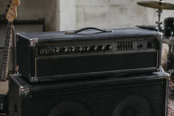 Peavey Bass Heads for Beginners: A Complete Guide